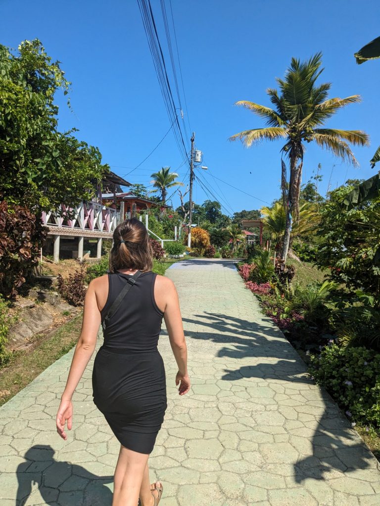 The view from Isla Bastimentos' main road 