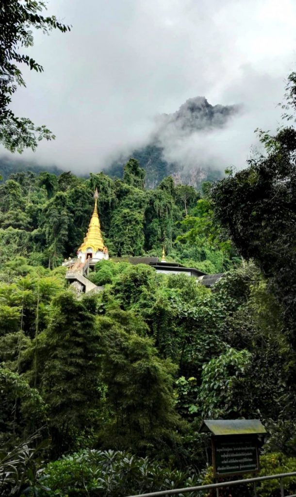 The image shows Wat Tham Pha Plong surrounded by jungle.