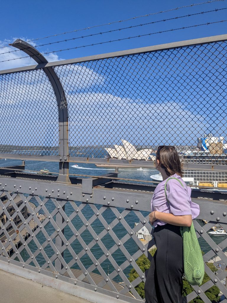 A view from the Harbor Bridge 