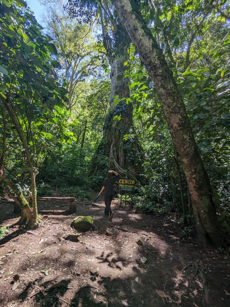 Some of the Scenery along the Pipeline Trail in Boquete, Panama