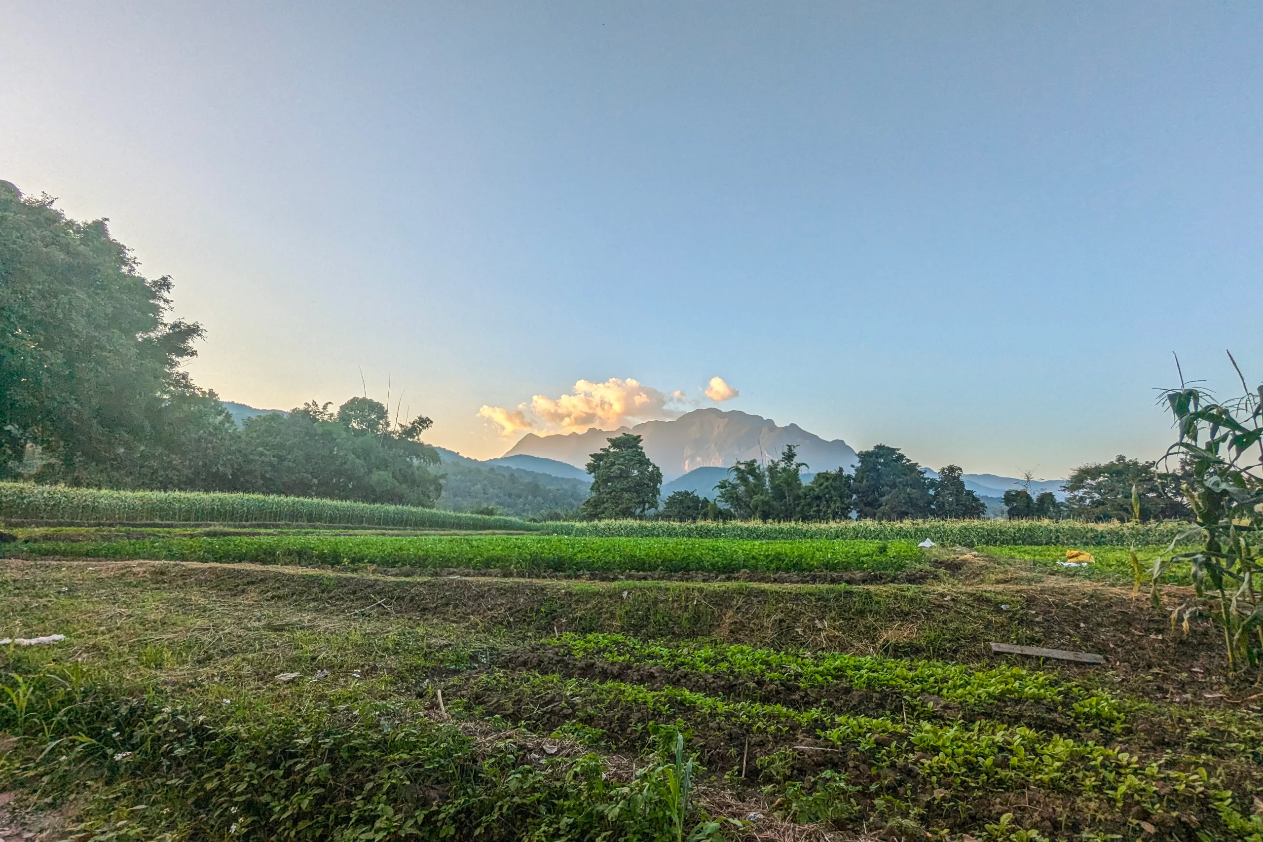 The photo shows a green field and blue skies. In the background is the mountain Doi Luang Chiang Dao.