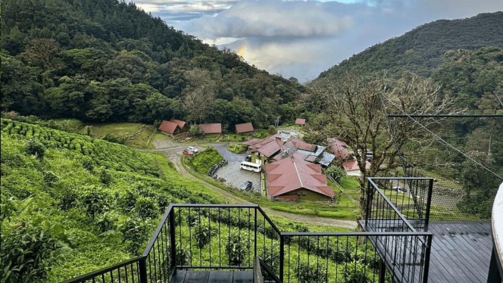 Boquete Tree Trek Mountain Resort, the base for the guided Hanging Bridges Tour in Panama’s Chiriquí Highlands

