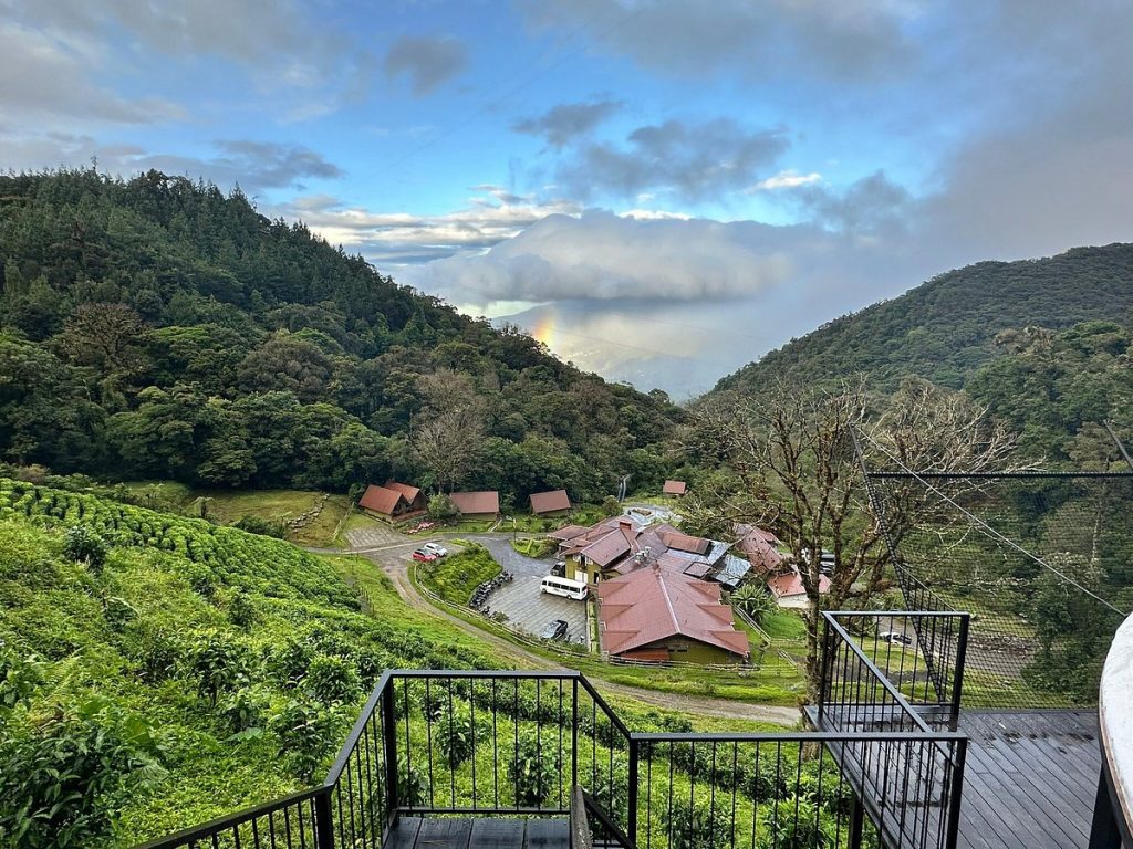 Stunning views from the Tree Trek Resort