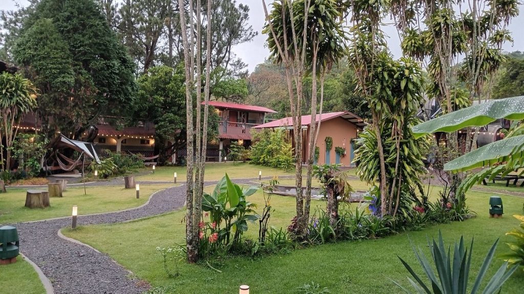 A view of Selina's outdoor area 