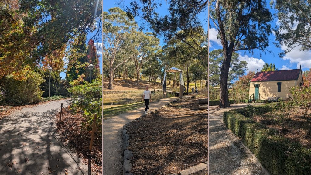 A collage of the photos taken in the Botanical Gardens in Orange NSW