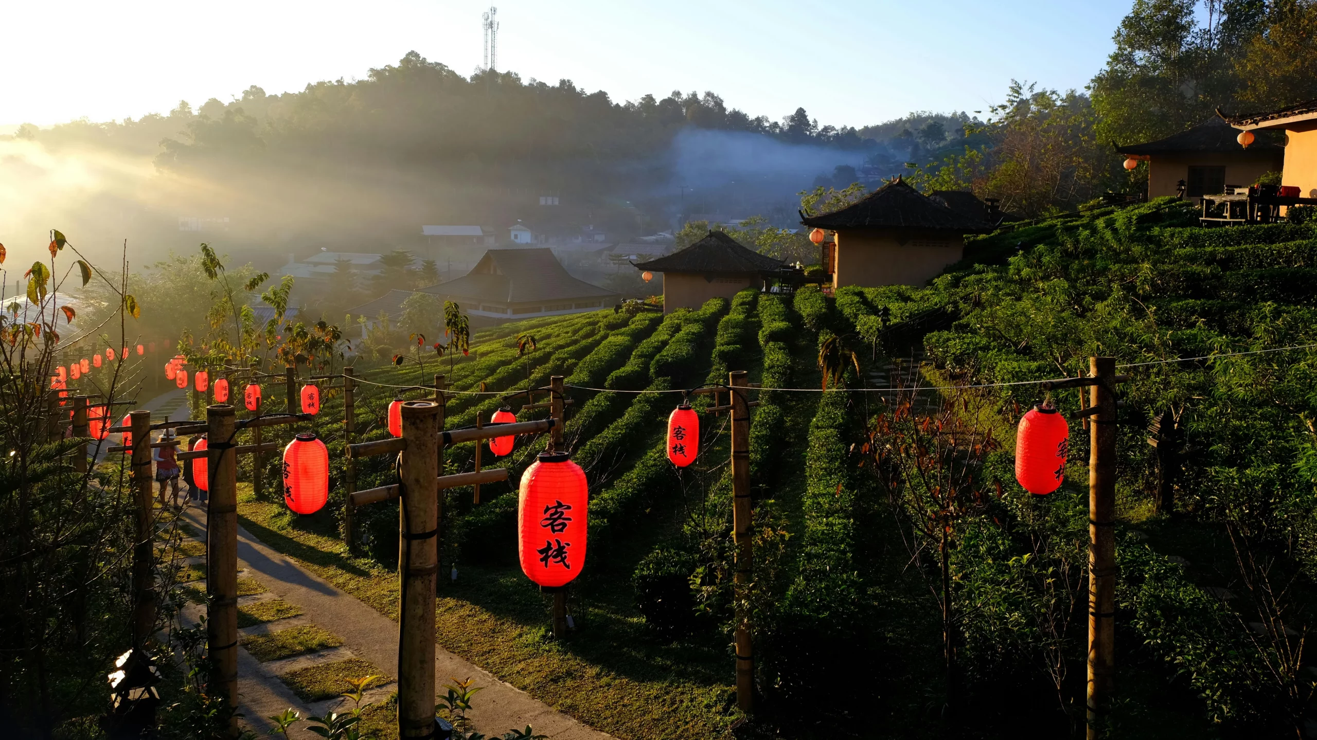 Lanterns along a path in Ban Rak Thai